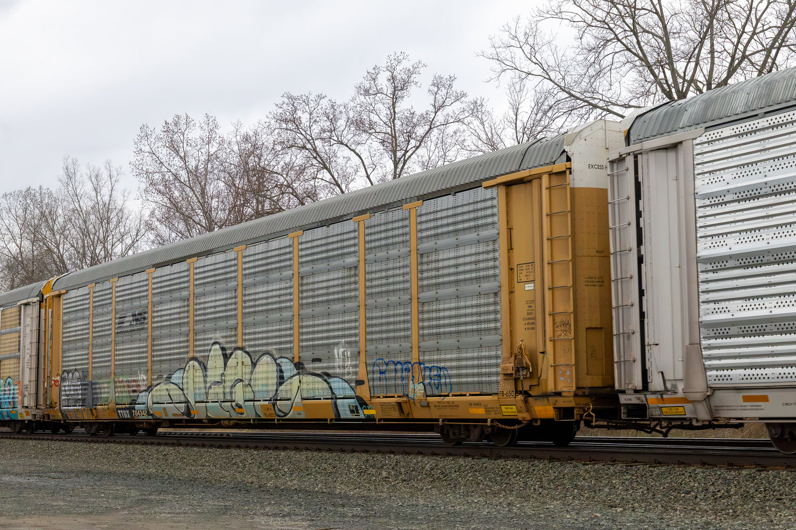 TTGX 704342