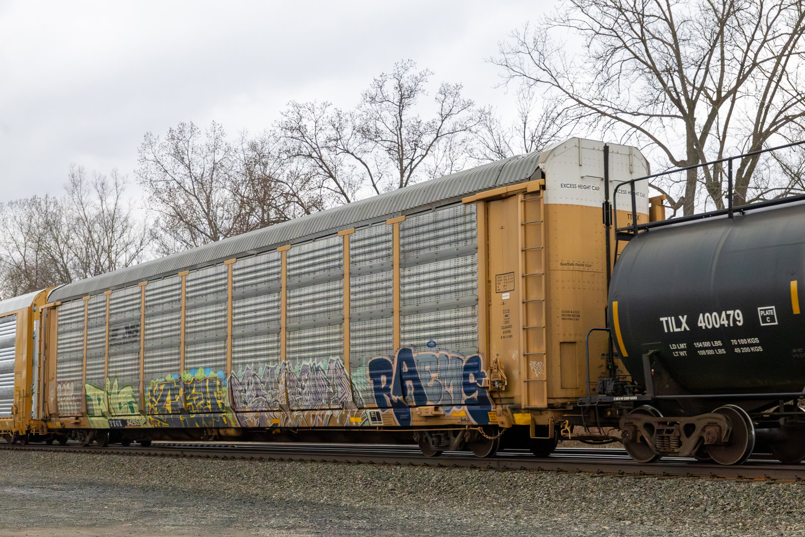 TTGX 942655