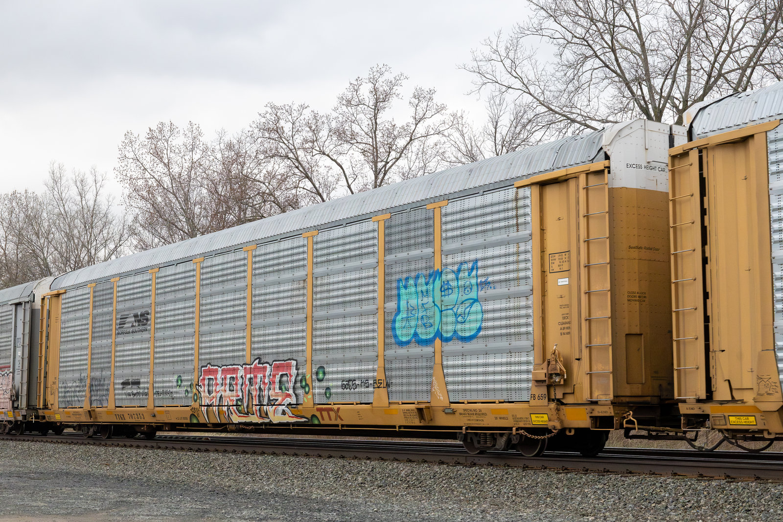 TTGX 707353