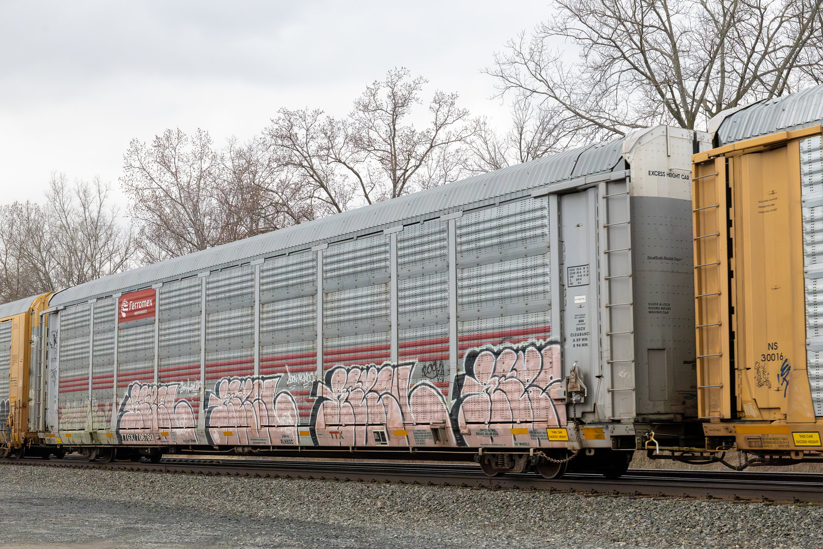 TTGX 706760