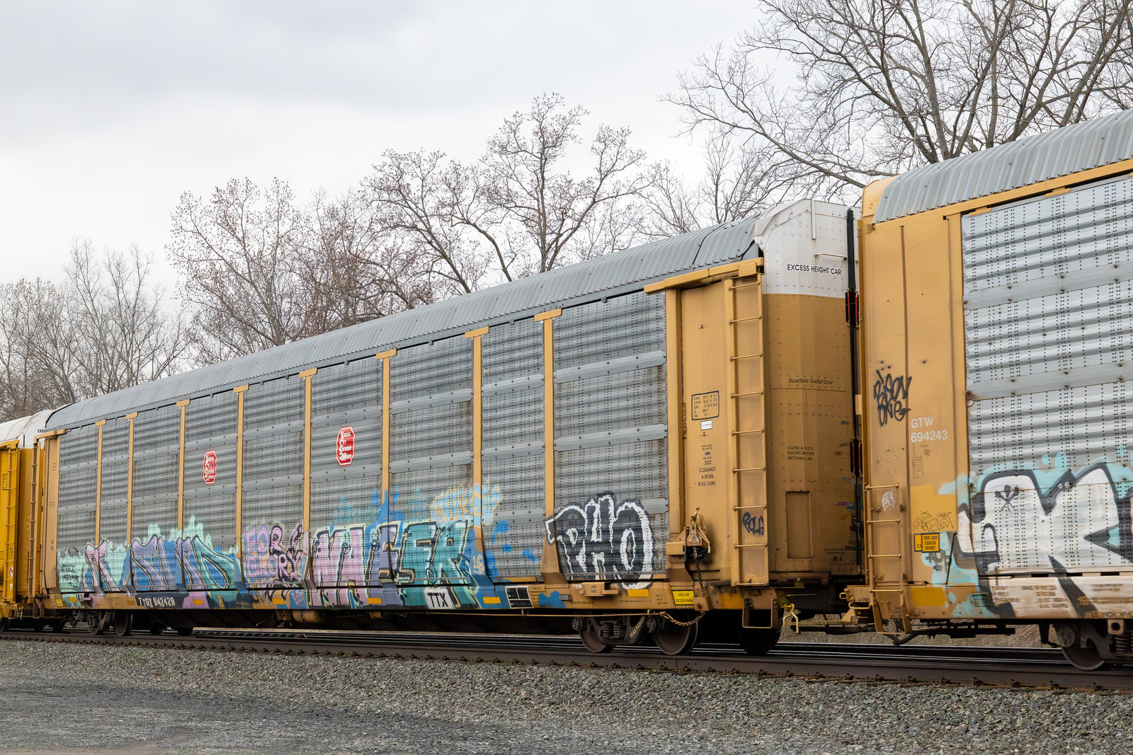 TTGX 942429