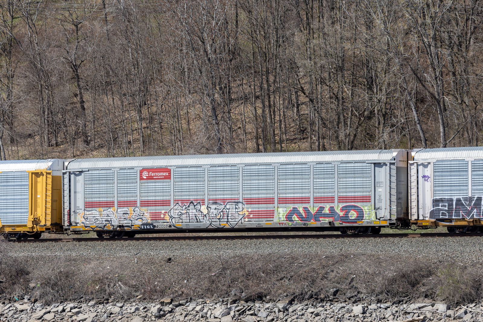 TTGX 706662