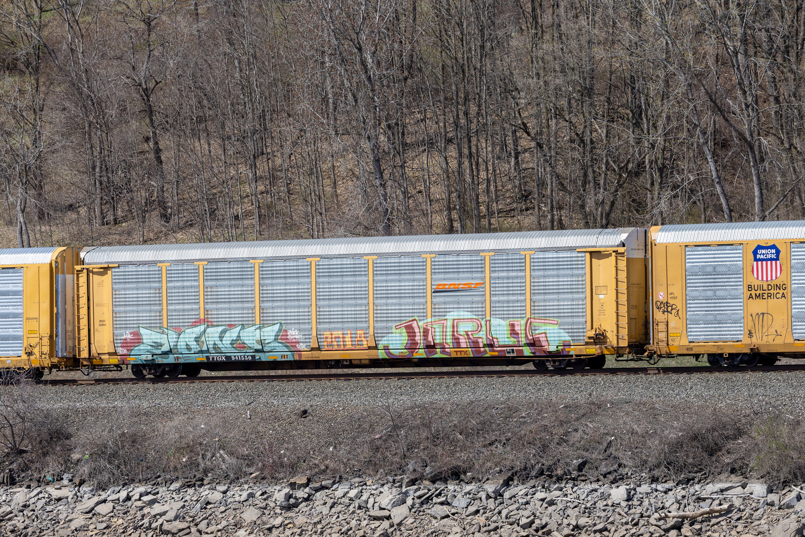 TTGX 941550
