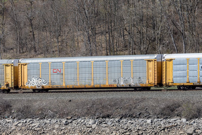 TTGX 706440