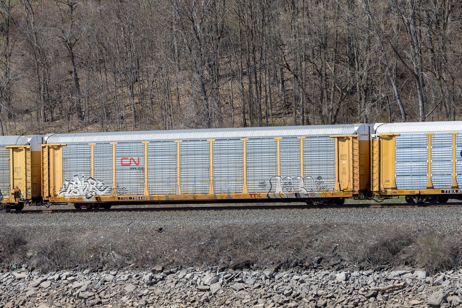 TTGX 706440