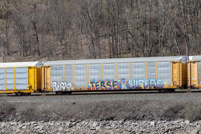 TTGX 702266