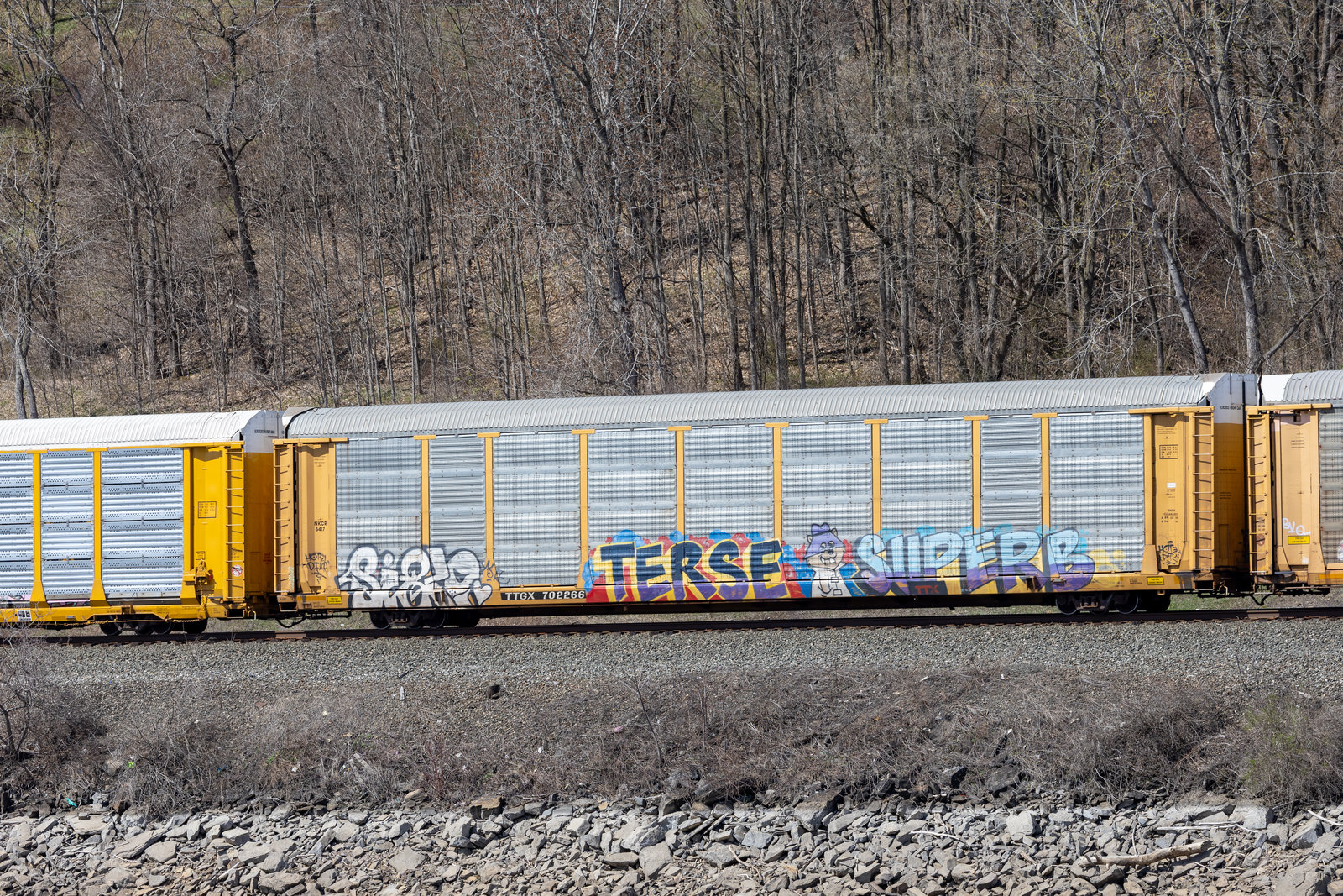 TTGX 702266