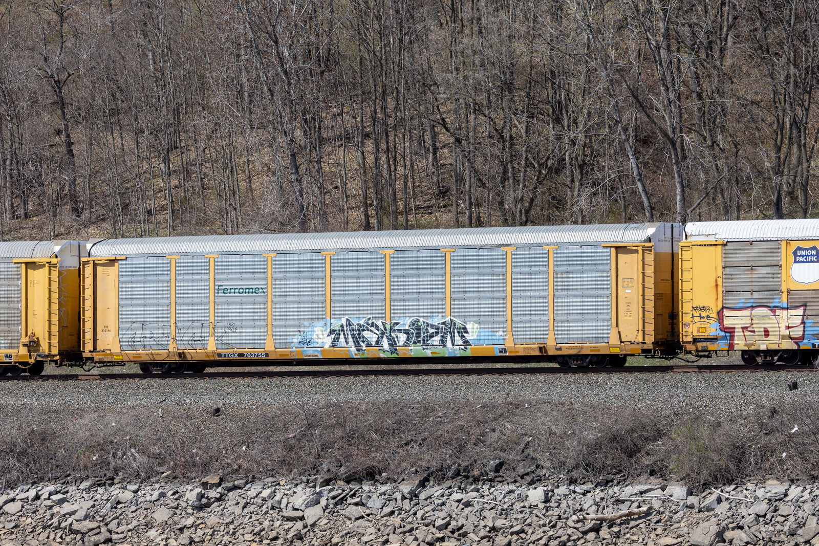 TTGX 703755