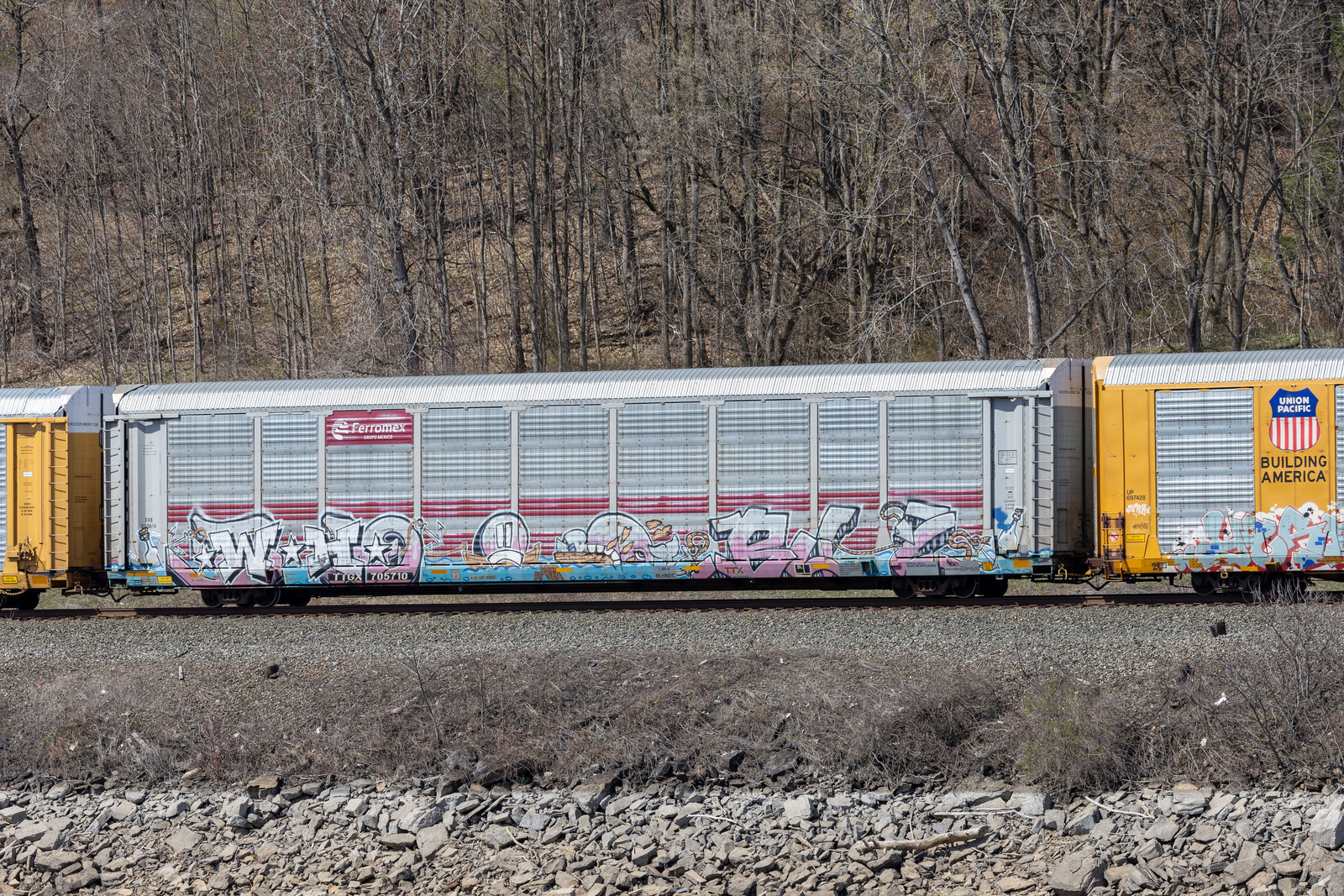 TTGX 705710