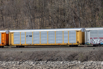 TTGX 710967