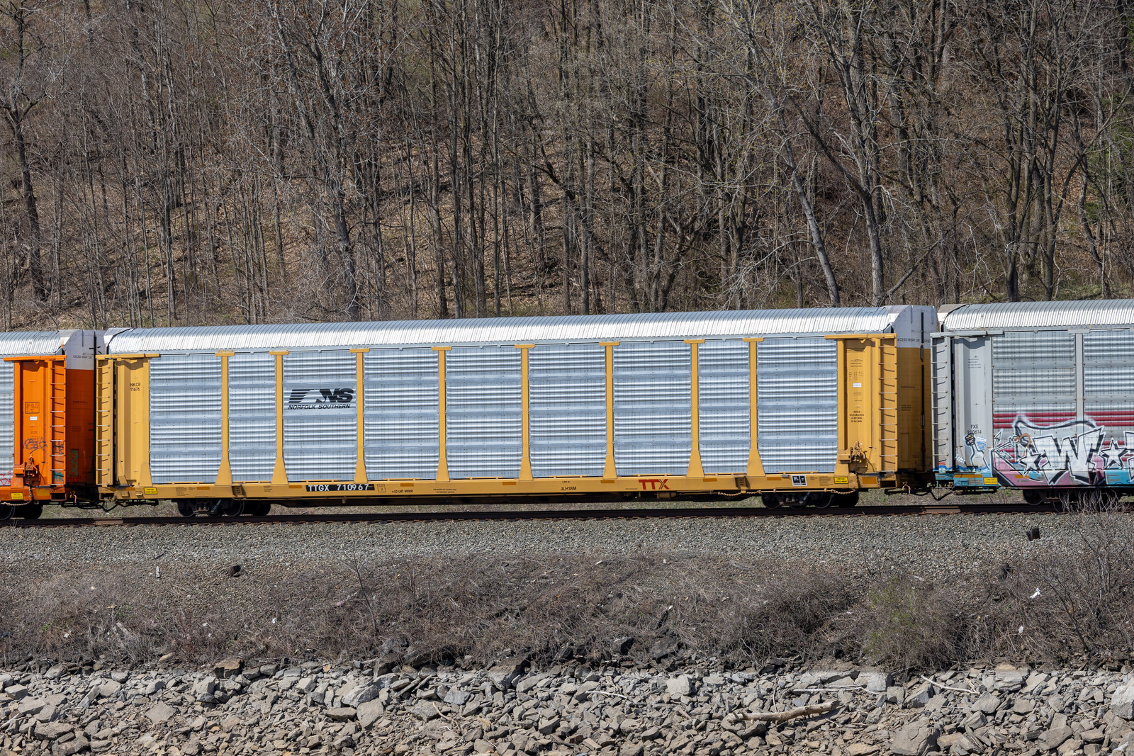 TTGX 710967
