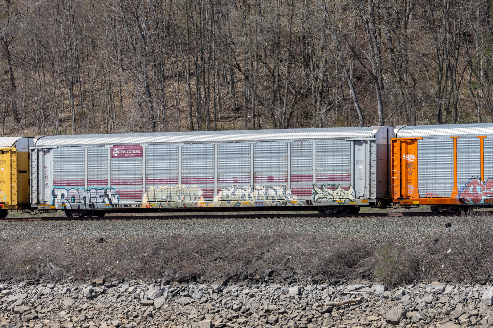 TTGX 705572
