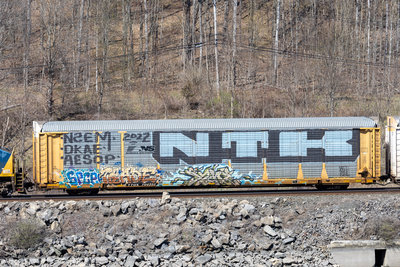 TTGX 704333