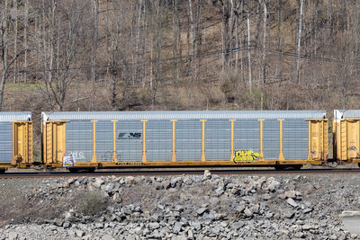 TTGX 706900