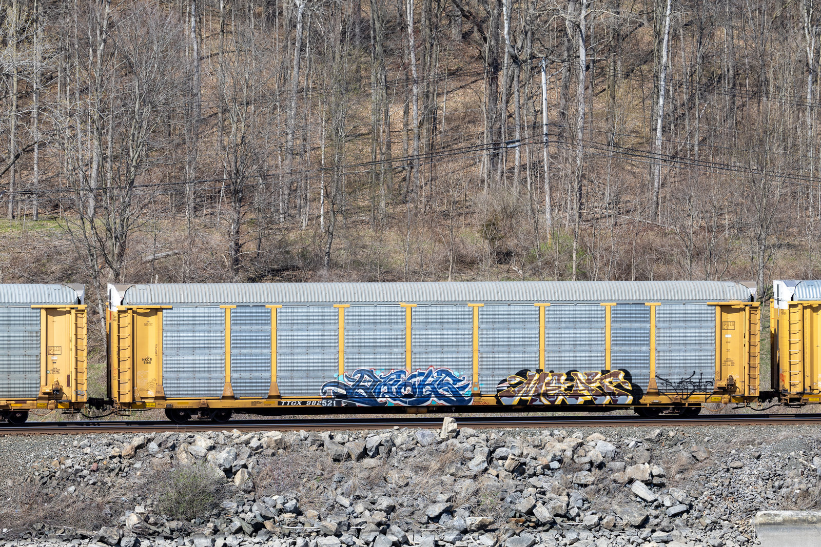 TTGX 982521