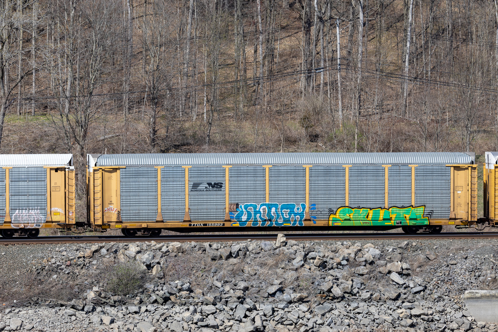 TTGX 155993