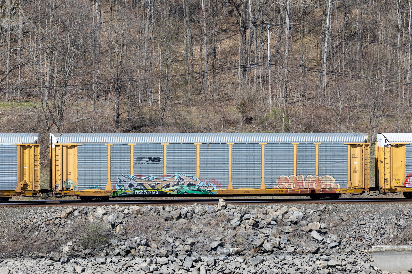 TTGX 707163