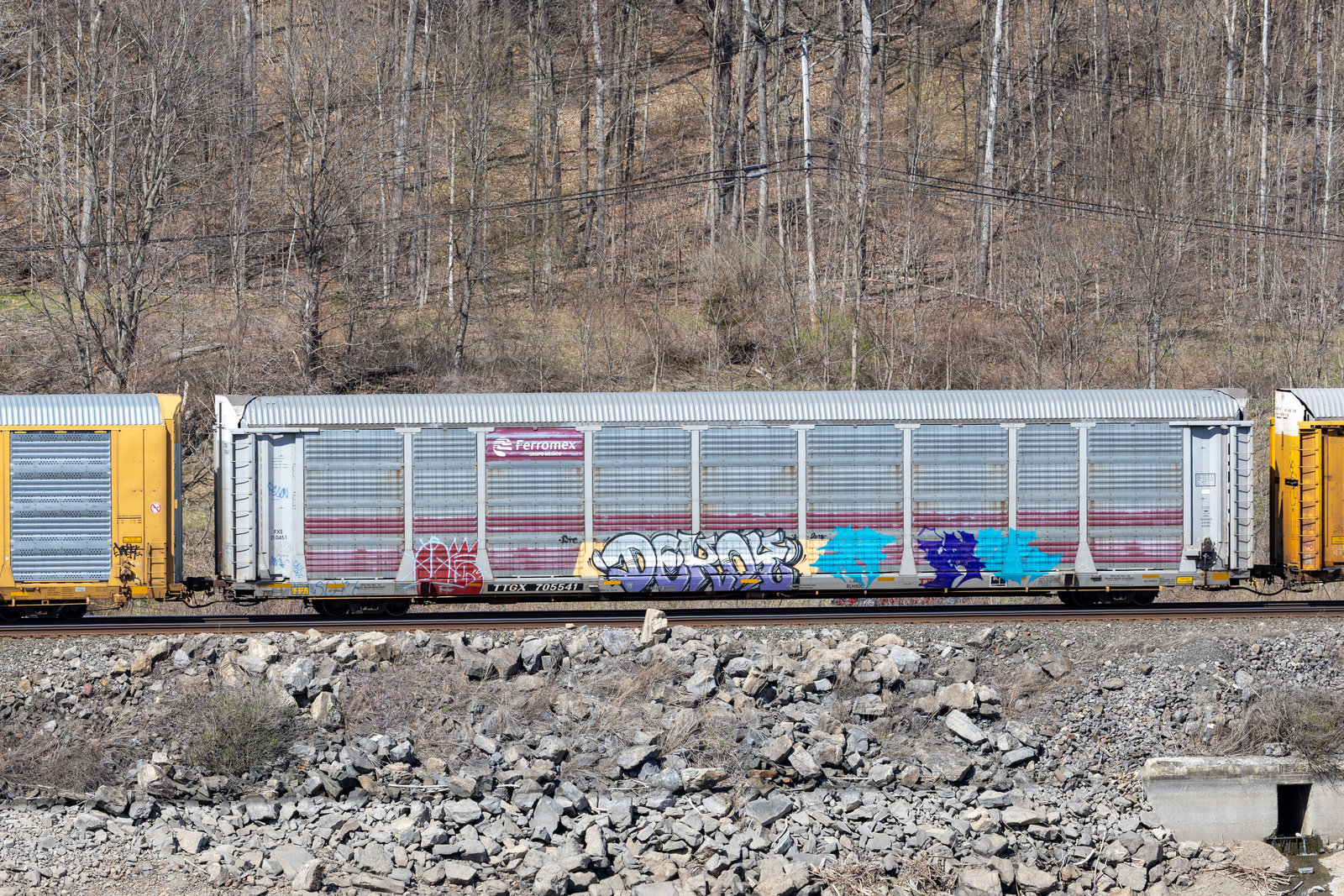 TTGX 705541