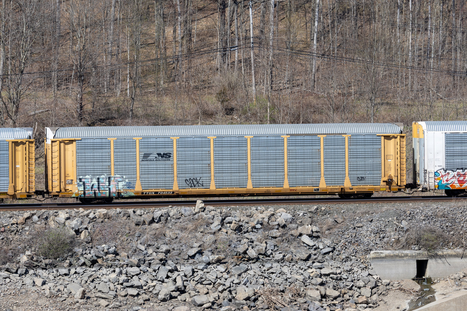 TTGX 704533