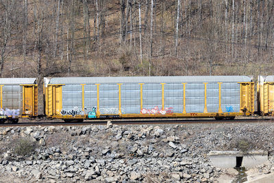 TTGX 702293