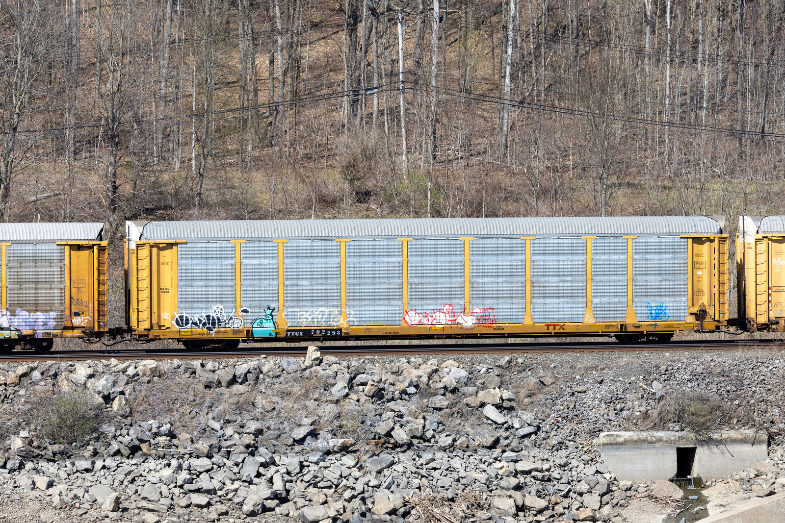 TTGX 702293