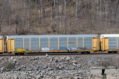 TTGX 254025