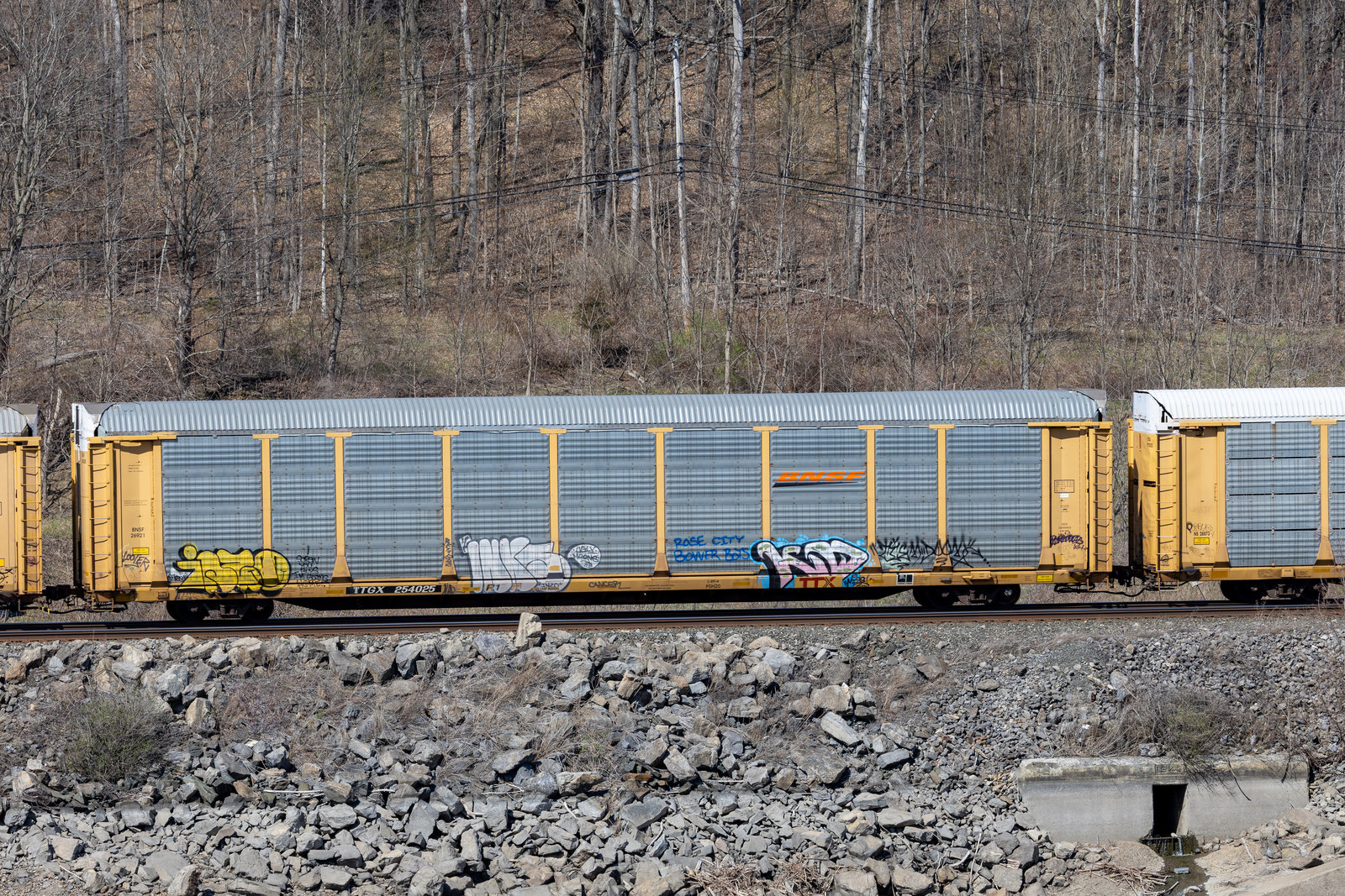 TTGX 254025