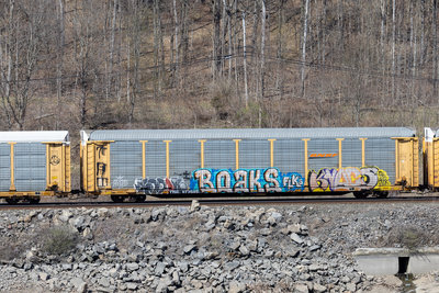 TTGX 973585