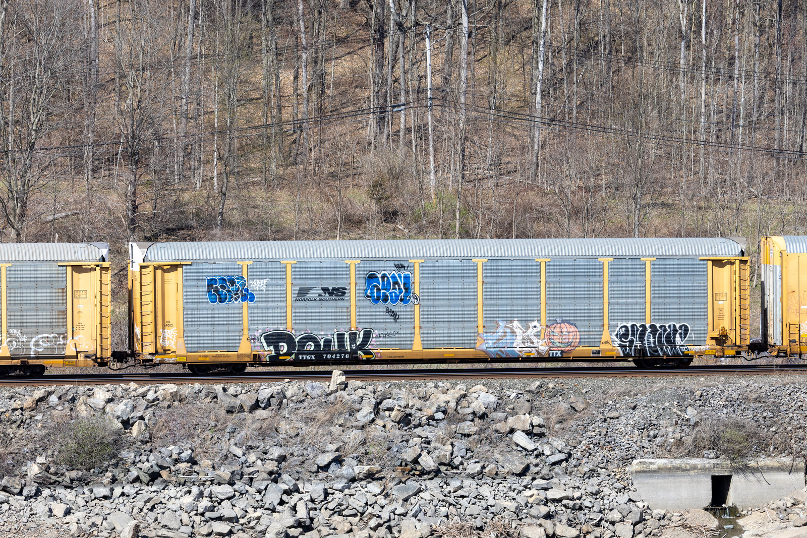 TTGX 704276