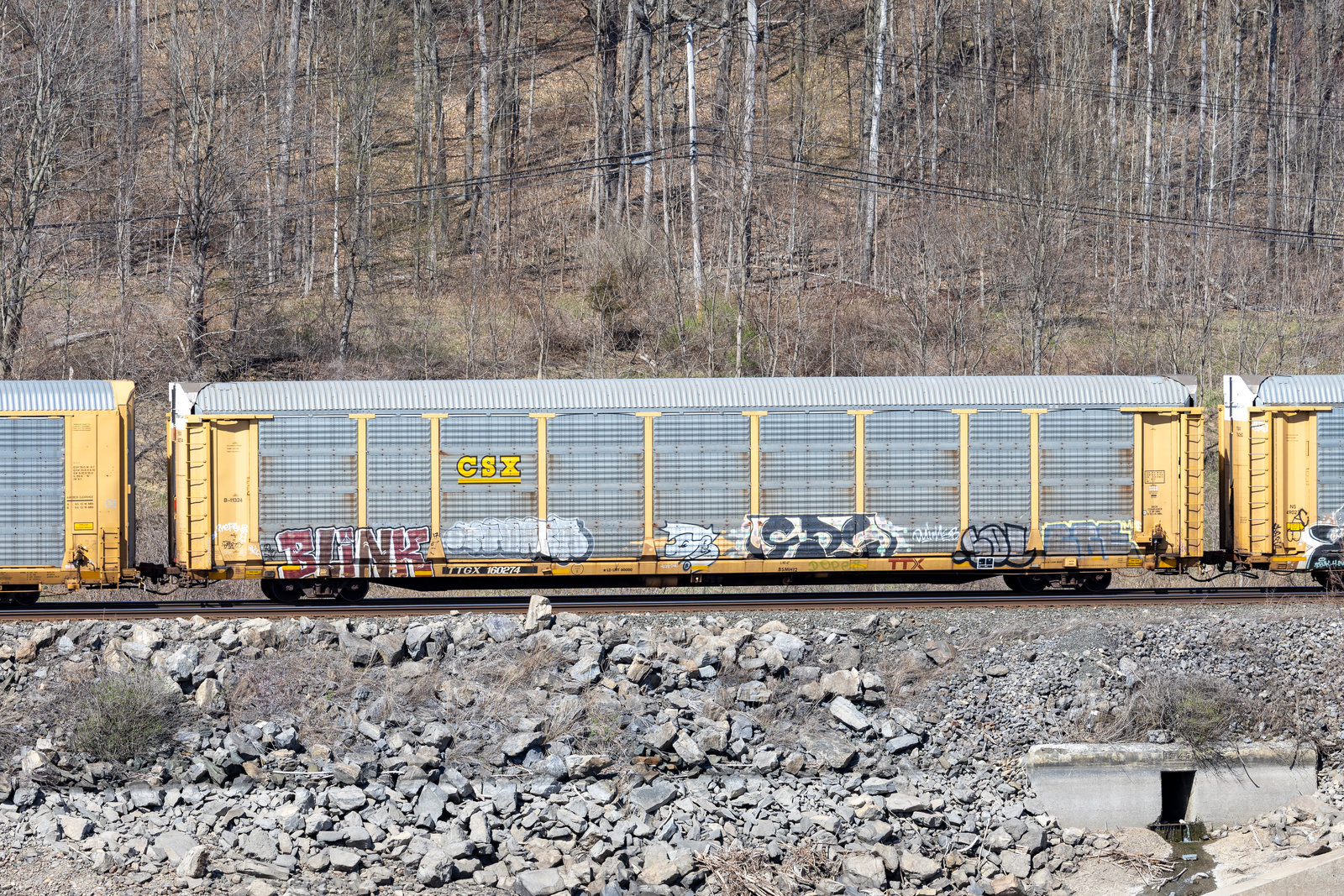 TTGX 160274