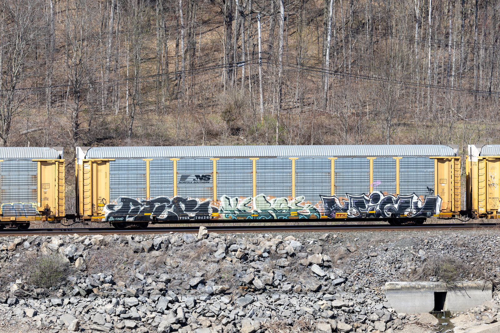 TTGX 704260
