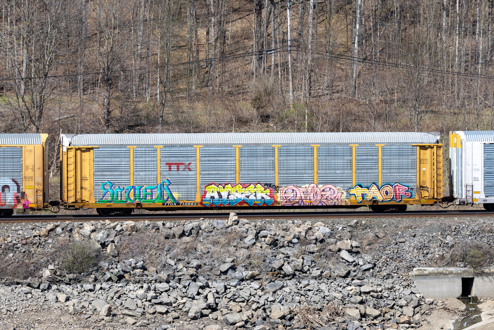 TTGX 710883