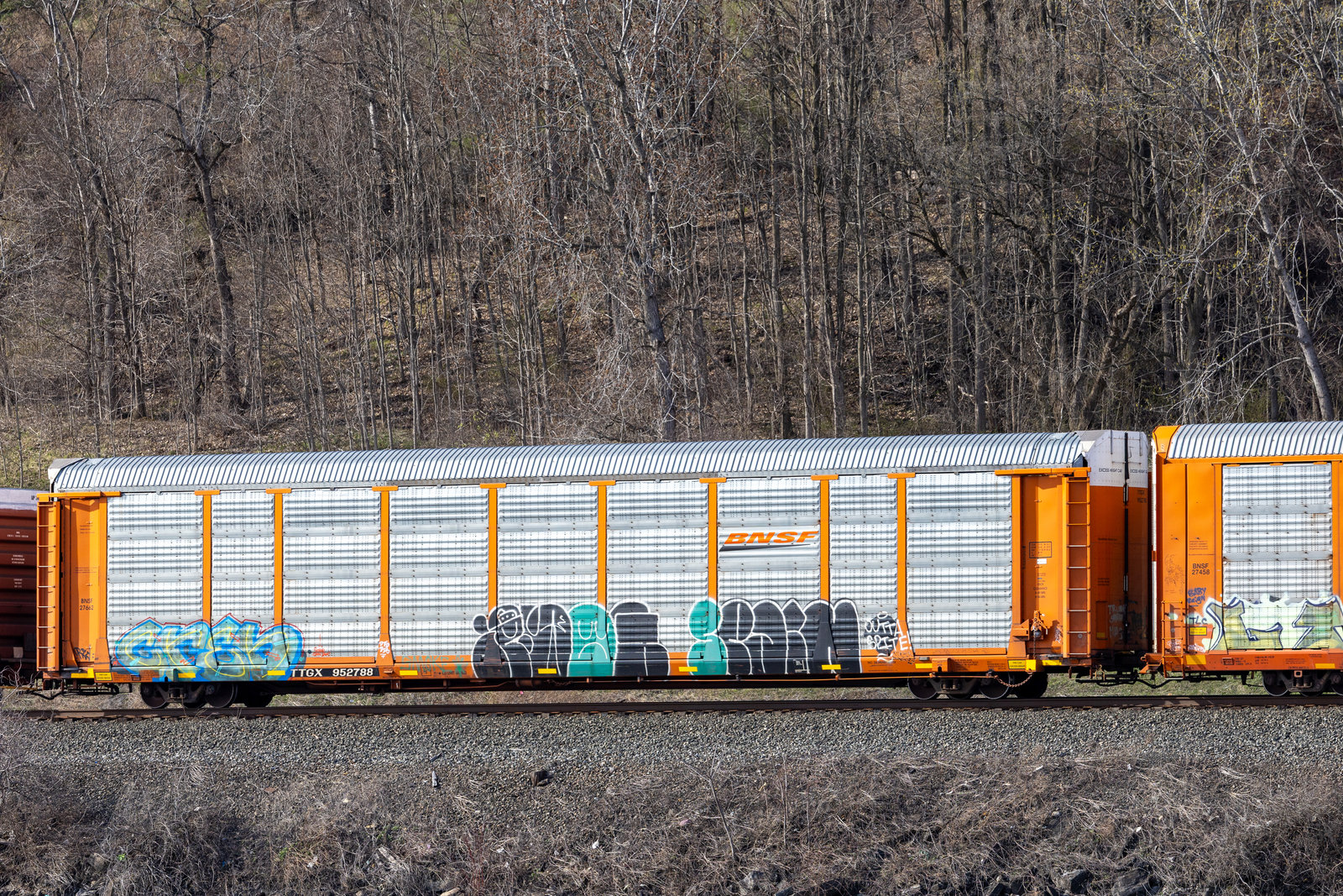 TTGX 952788