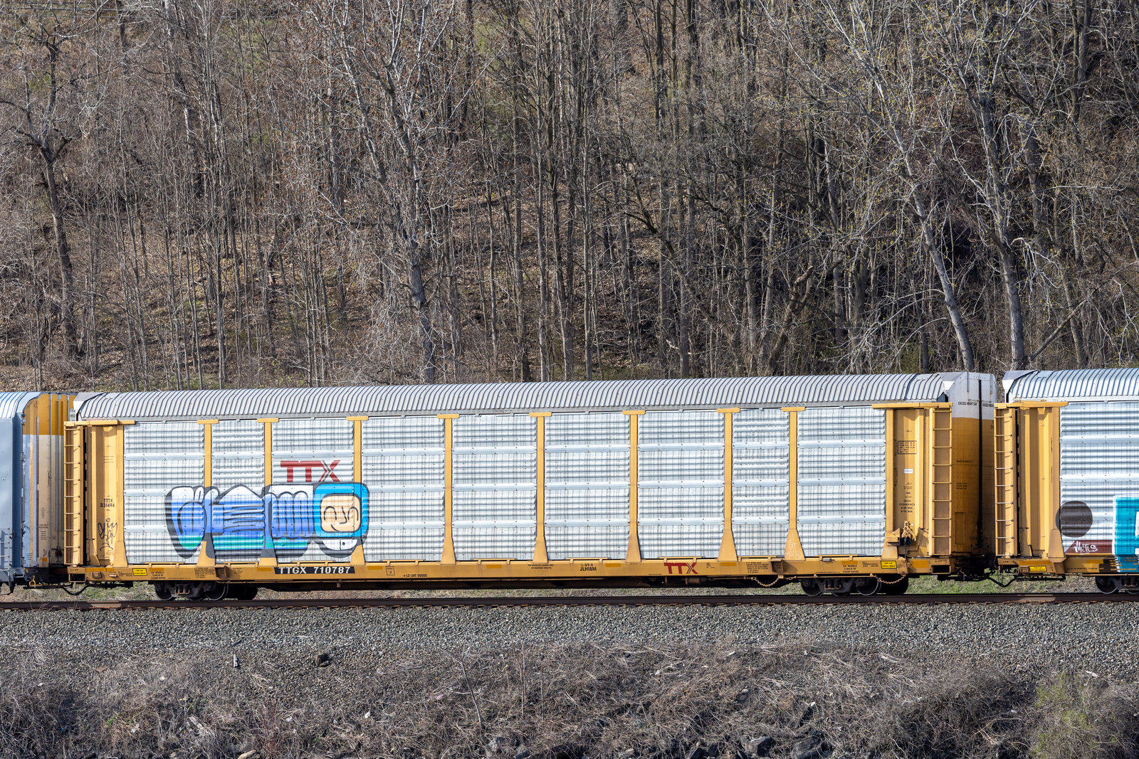 TTGX 710787