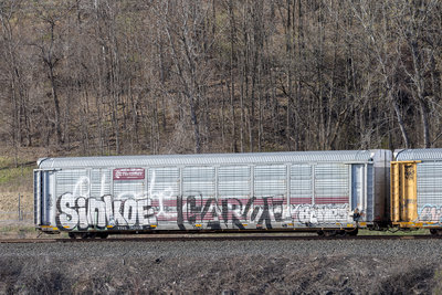 TTGX 705578