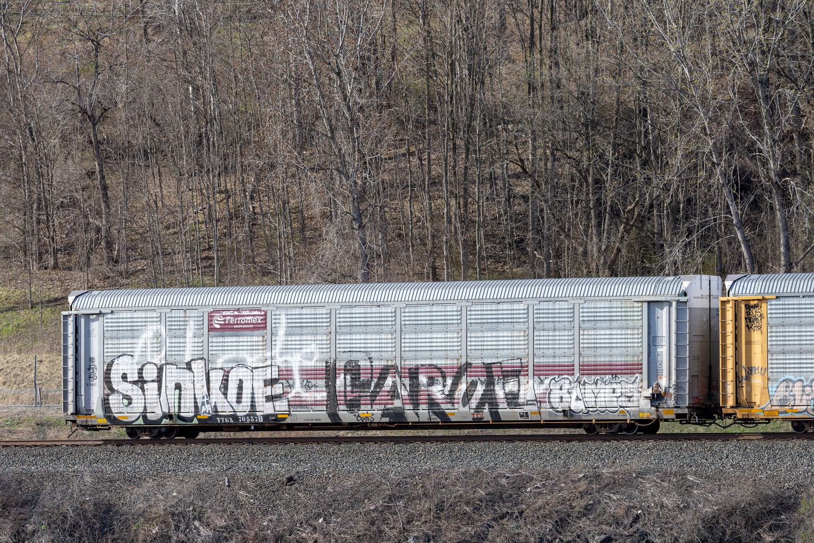 TTGX 705578