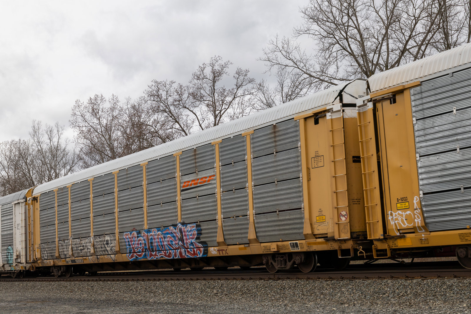 TTGX 160069
