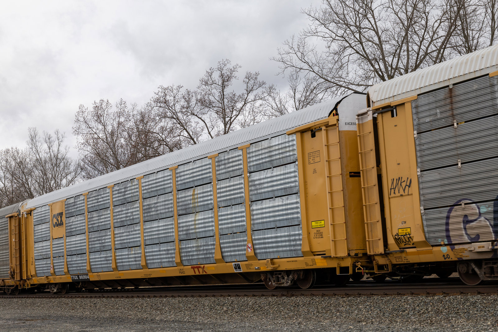 TTGX 993104