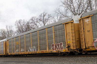 TTGX 986125