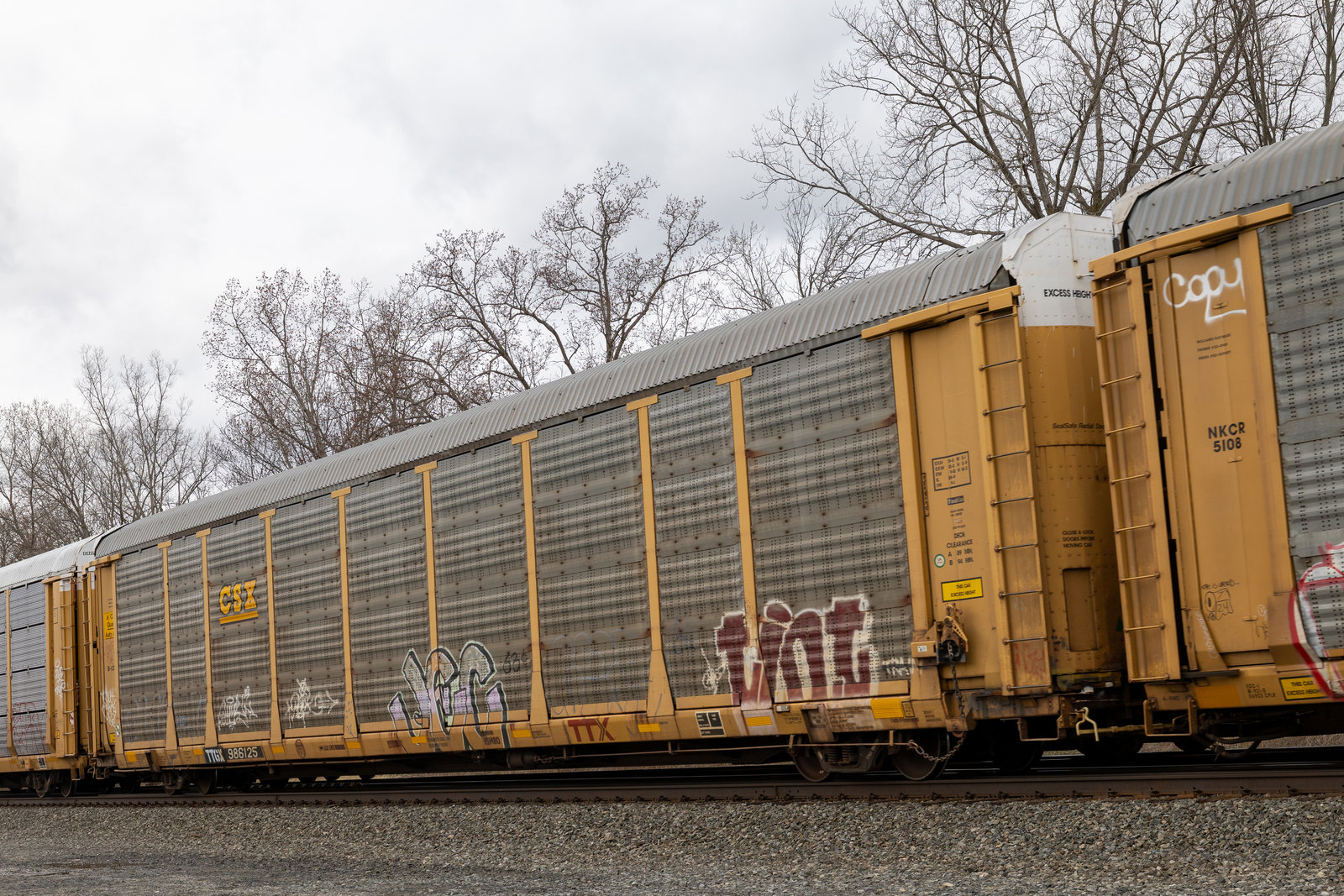 TTGX 986125