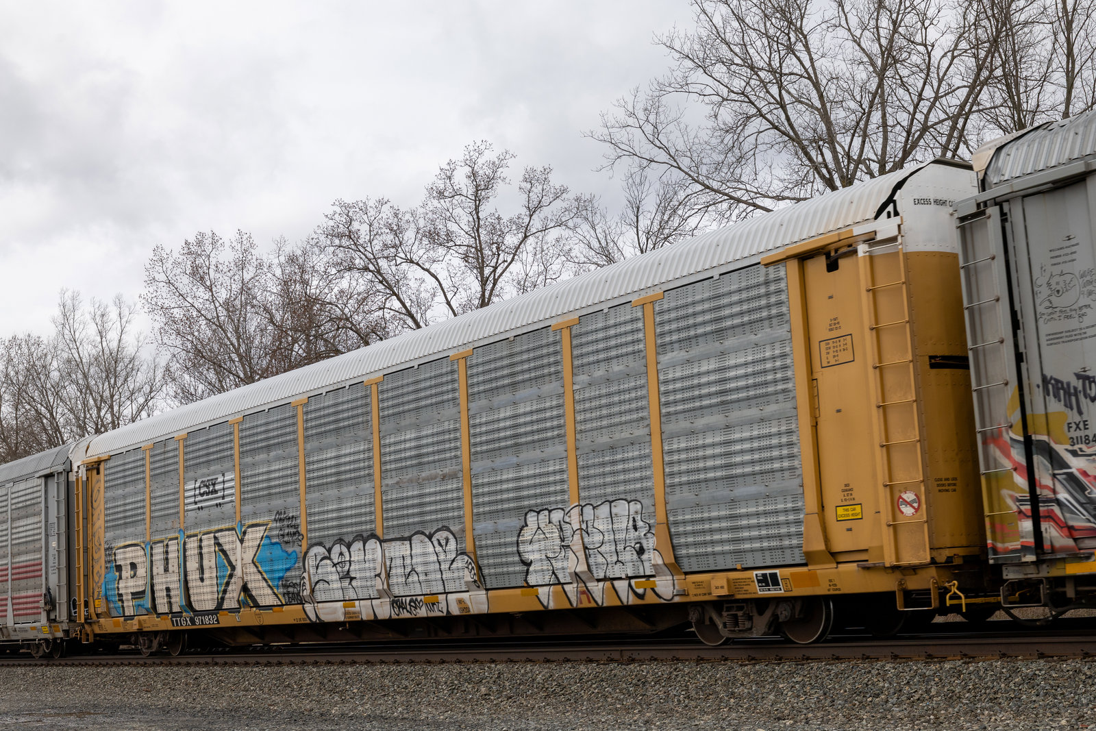 TTGX 971832