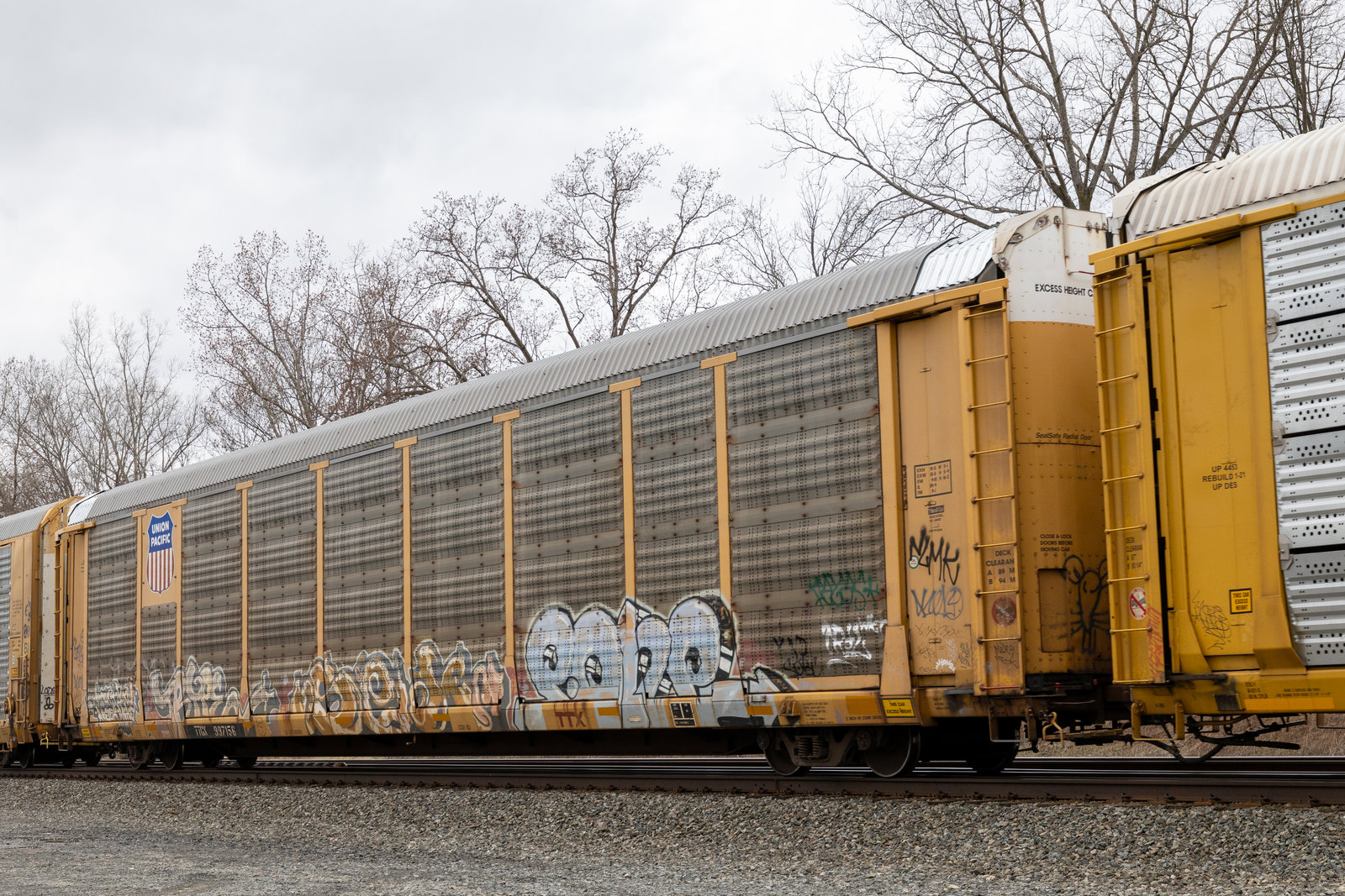 TTGX 997156