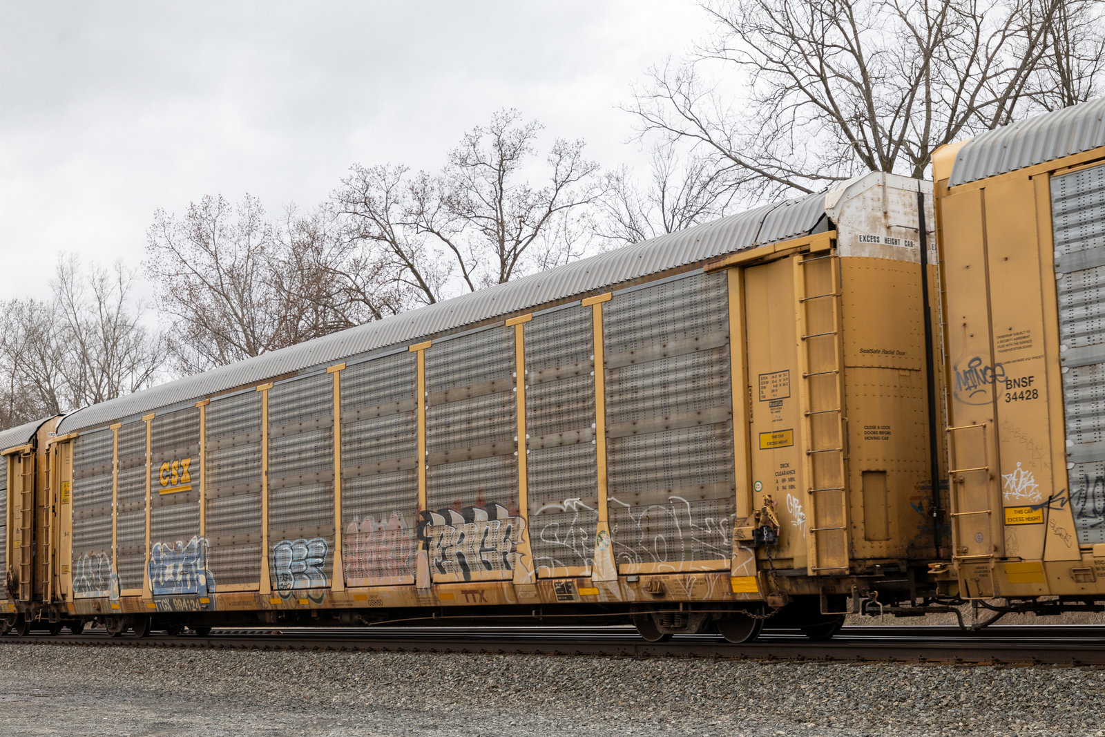 TTGX 994124