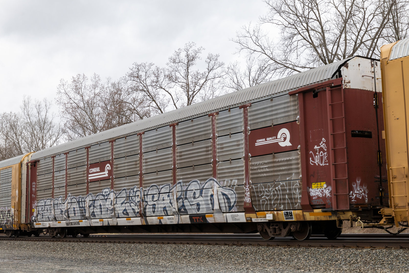 TTGX 981263