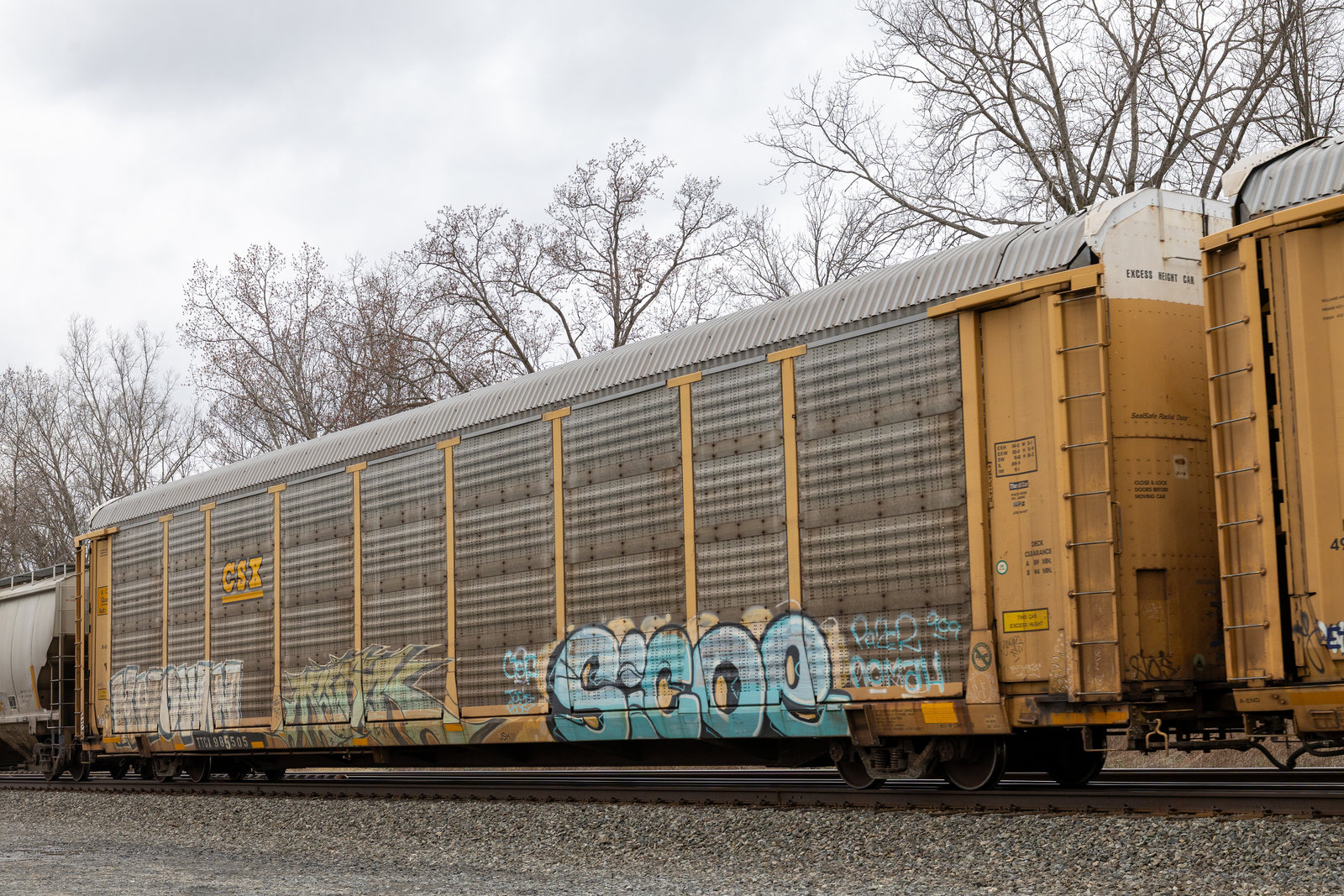 TTGX 985505