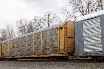 TTGX 965092