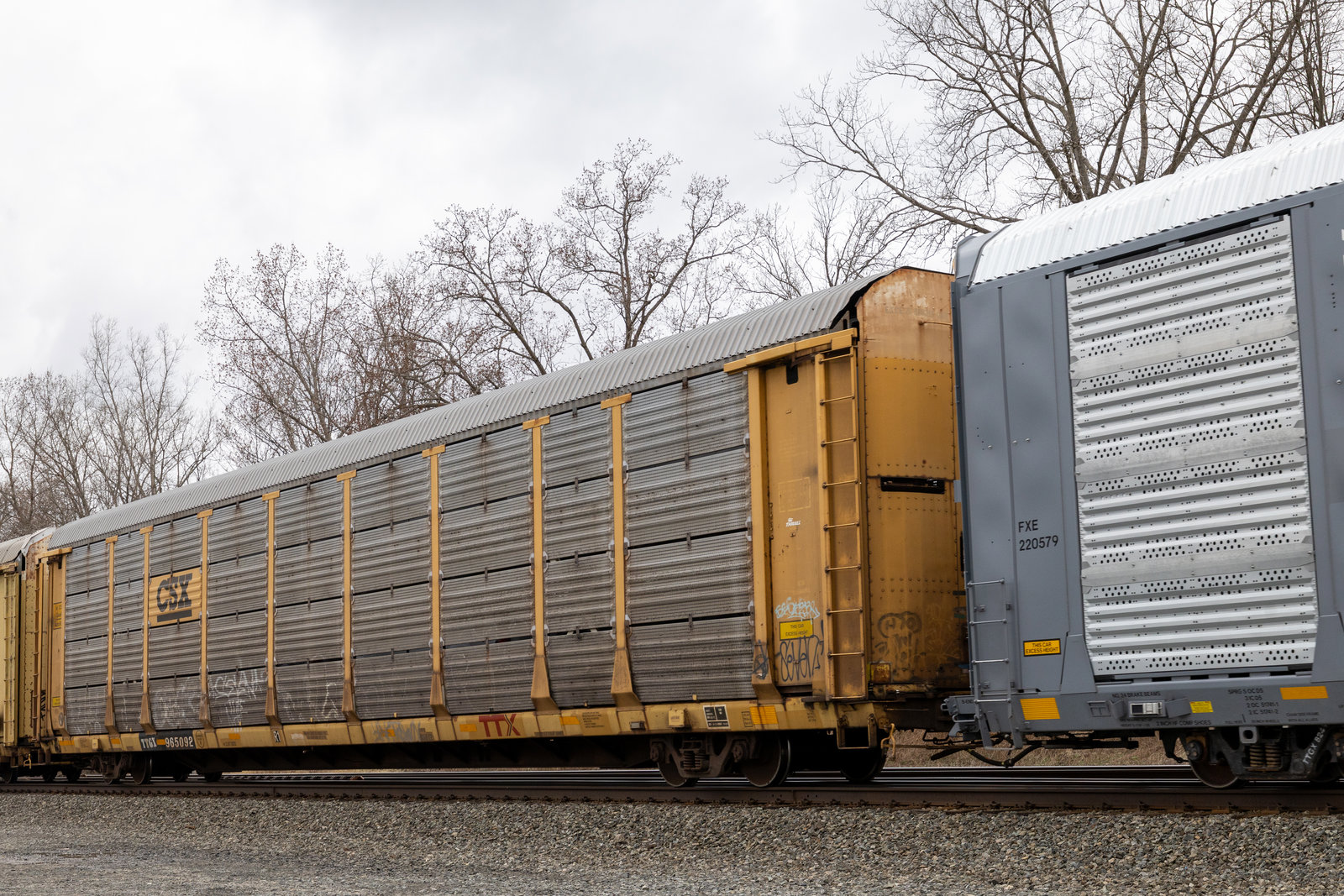 TTGX 965092