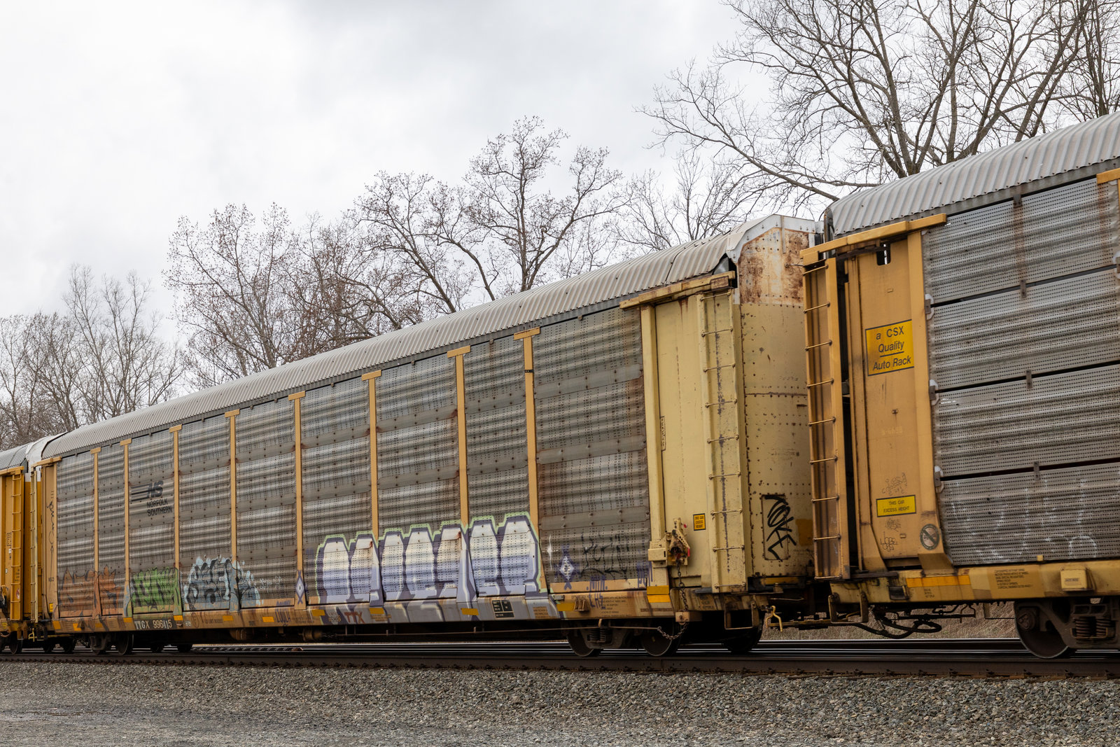 TTGX 996415
