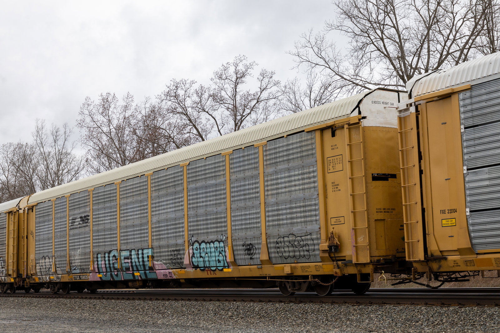 TTGX 159026