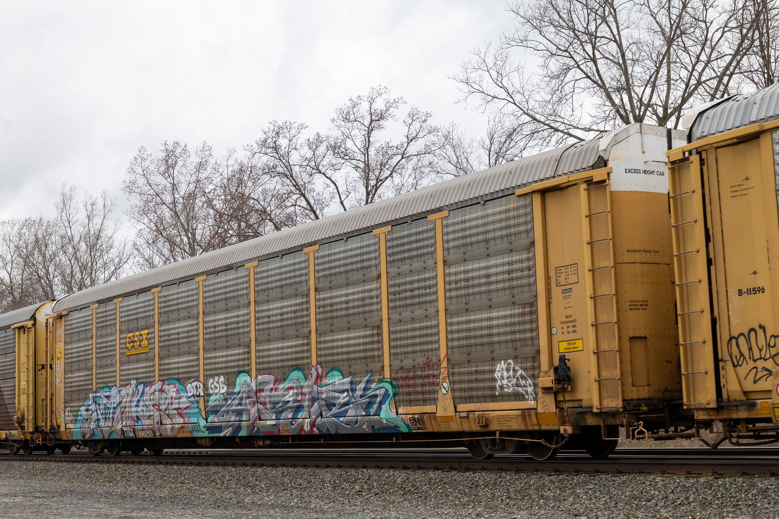 TTGX 996255